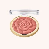 Rose Powder Blush Blossomtime Rose