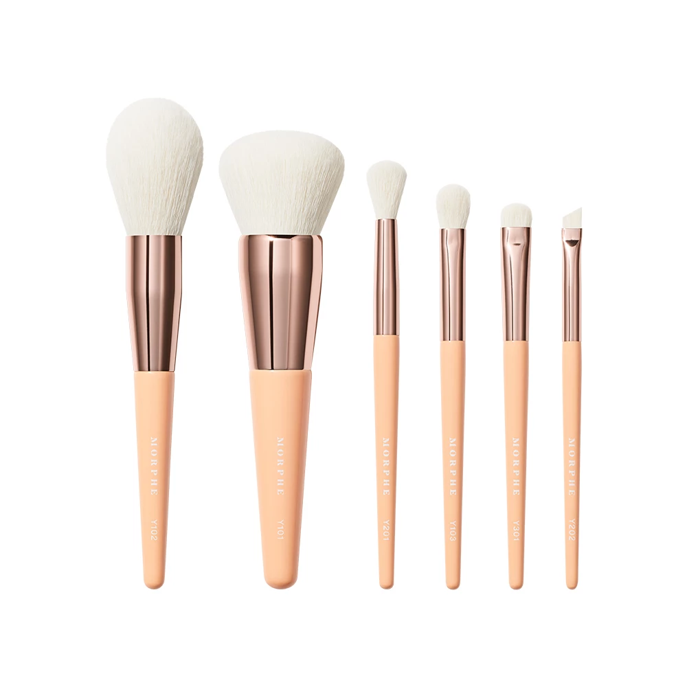 Aurascape Travel 6 Piece Face And Eye Brush Set Aurascape Travel 6-Piece Face And Eye Brush Set