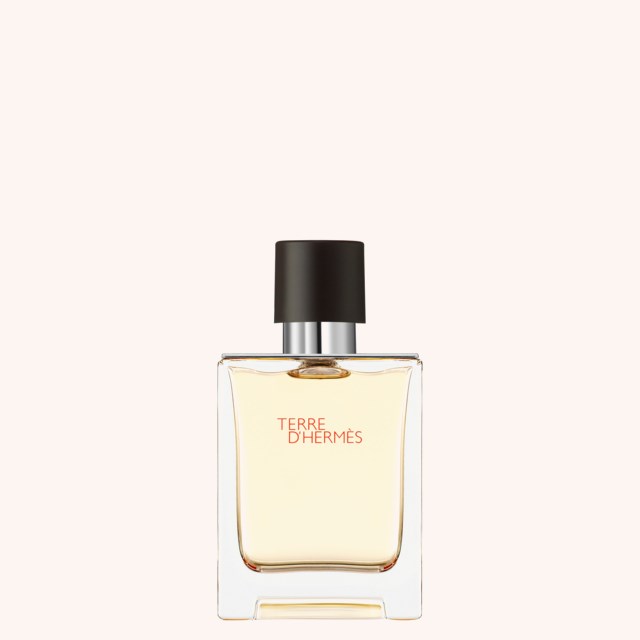 Terre D'Hermès Eau De Toilette 50 ml