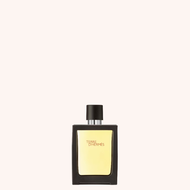 Terre D'Hermès Travel Spray Eau De Toilette 30 ml