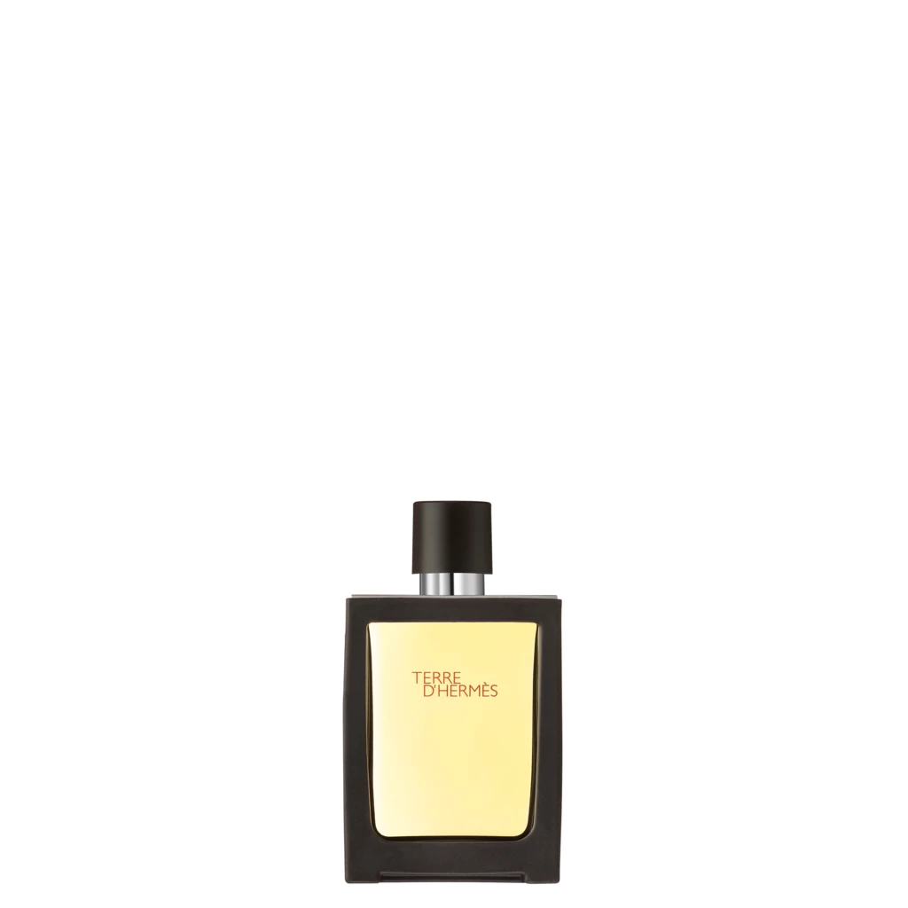 Terre D’Hermès Travel Spray Eau De Toilette 30 ml