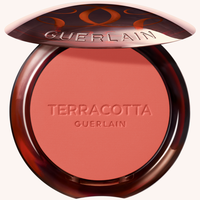 Terracotta Blush 5