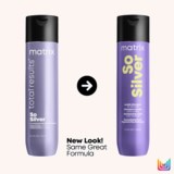 Color Obsessed So Silver Hair Shampoo 300 ml