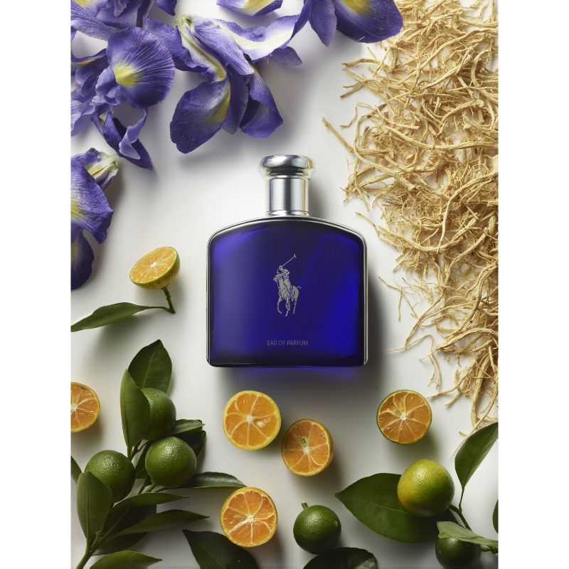 polo midnight cologne