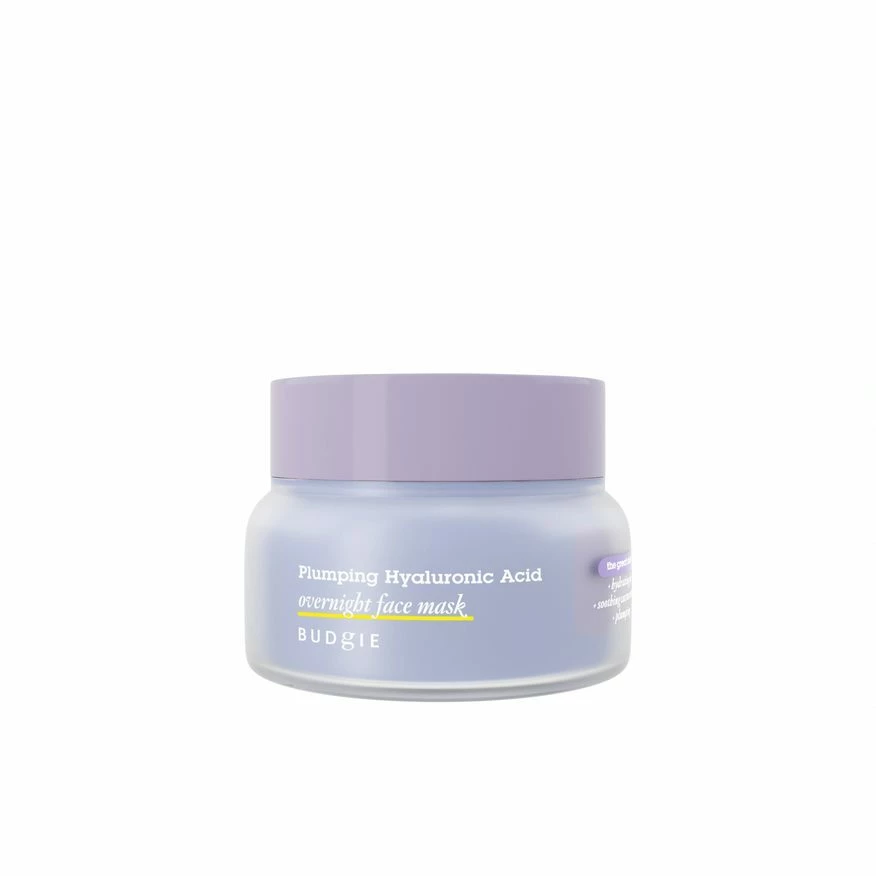 Plumping Hyaluronic Acid Overnight Face Mask 65 ml