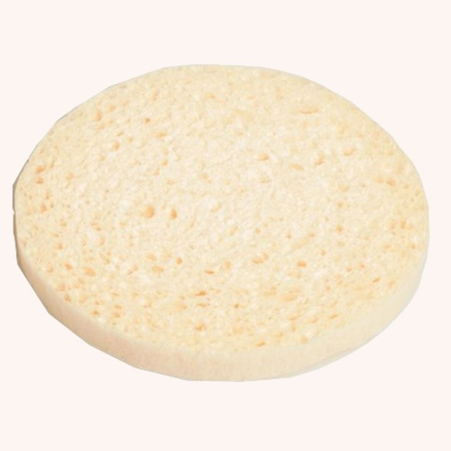 Sponge Cellulose